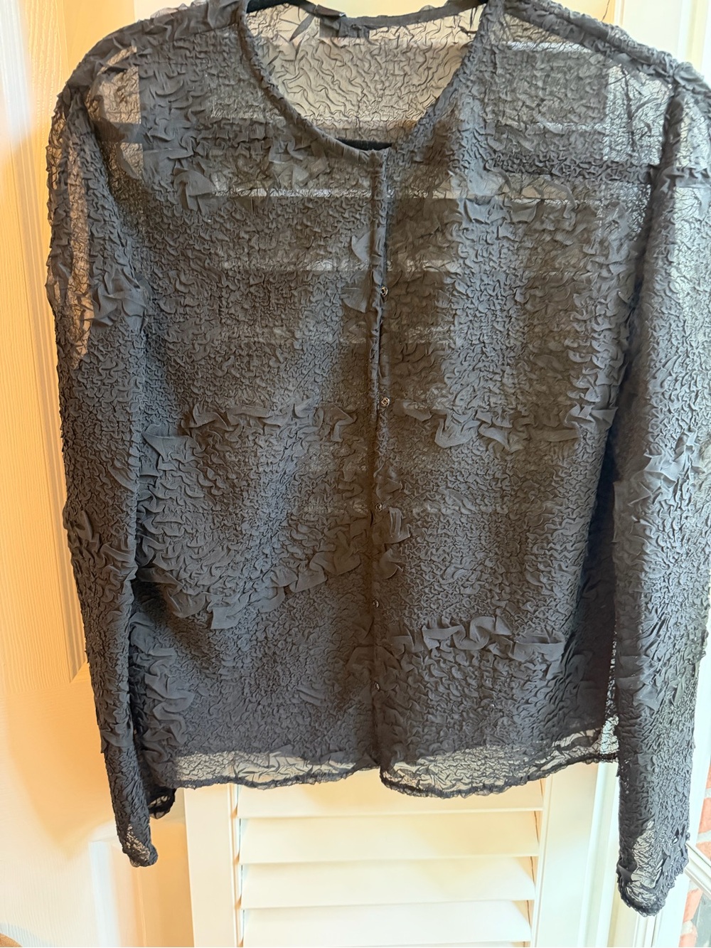 Sheer Textured Black Long-Sleeve Jacket